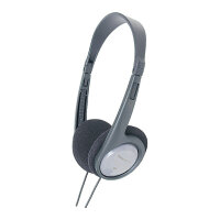Panasonic RP-HT090E-H grey