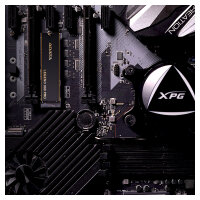 M.2 ADATA LEGEND 900 Pro 1 TB (schwarz/gold, PCIe 4.0 x4, NVMe 1.4, M.2 2280)