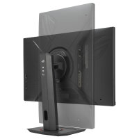 ASUS ROG Strix XG279CNS - LED-Monitor - Gaming - 68.6 cm (27")