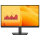 DELL Pro 22 Monitor E2225HM 54.61cm 21.5Zoll VA 1920x1080 16:9 250cd/m2 100Hz HDMI DP VGA