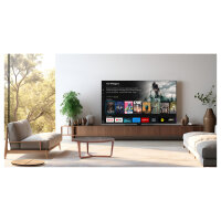 Panasonic TB-65W60AEZ schwarz