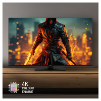 Panasonic TB-65W60AEZ schwarz
