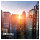 Panasonic TB-65W60AEZ schwarz