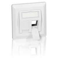 Equip Unterputzdose +Frontplatte 2 Keystone 45° RAL...