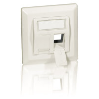 Equip Unterputzdose +Frontplatte 2 Keystone 45° RAL...