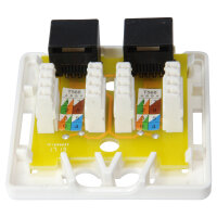 Equip Aufputzdose Cat6 2xRJ45 UTP RAL 9010 Reinweiß