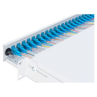 DIGITUS LWL Spleißbox 1HE bestückt 24x LC DX OM4 grau