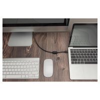 DIGITUS USB C Adapterkabel Typ C -DP 32,4GB St/St 2.0m, sw
