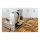 Unold 78826 Allesschneider Metall Plus
