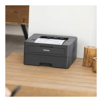 L Brother HL-L2400DWE sw-Laser Duplex