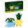 LEGO Botanicals Fröhliche Pflanzen 10349