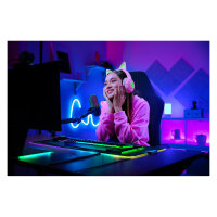 Razer Seiren V3 Chroma (schwarz)