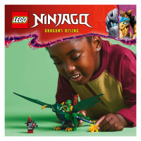 LEGO 71829 Ninjago Lloyds grner Walddrache