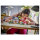 LEGO 42669 Friends Haus und Blumengarten der Imker