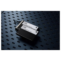 KINGSTON 3.84TB DC3000ME U.2 PCIe 5.0 NVMe