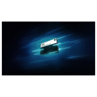 KINGSTON 3.84TB DC3000ME U.2 PCIe 5.0 NVMe