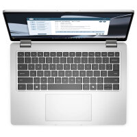 DELL Pro 14 Plus PB14255 AMD Ryzen AI 7 350 35.56cm 14Zoll FHD+ 32GB 1TB SSD SmtCd WLAN Backlit Kb W11P 1Y Basic Onsite