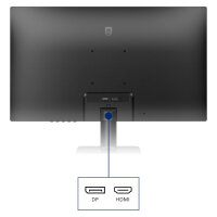 68,6cm/27" (2560x1440) Philips 27E2N2500/00 WQHD IPS 1ms 120Hz HDR
