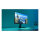 60,5cm/23,8" (1920x1080) Philips 24M2N3200NF 16:9 IPS 0,5ms 144Hz HDMI DisplayPort G-SYNC VESA Black