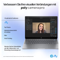 HP OmniBook Ultra 14-fd0094ng Ryzen AI 9 365 16 GB, 1 TB SSD, Windows 11 Home