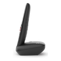 Gigaset E290