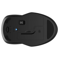 HP 250 Maus kabellos schwarz