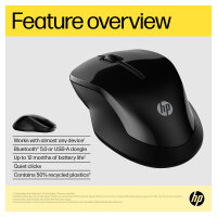 HP 250 Maus kabellos schwarz