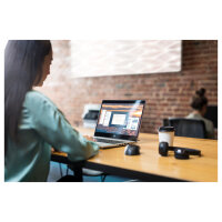 HP Maus USB Fingerprint Laser-3Tasten-kabelgebunden-USB