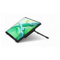 Hannspree 54.6cm (21,5") HT220CUA 16:9 M-TOUCH HDMI+DP