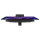 ASUS ROG Strix OLED XG27AQDPG 68.58cm (16:9) QHD HDMI DP