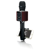 LENCO BMC-090 Karaoke-Mikrofon, schwarz