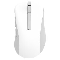 ASUS MD102 Maus, weiß, Silent