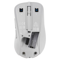 ASUS MD102 Maus, weiß, Silent