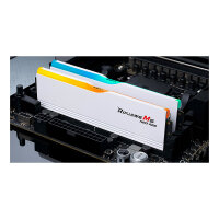 64 GB G.Skill DIMM 6000 (2x 32 GB) Dual-Kit (wei, F5-6000J2836G32GX2-RM5NRW, Ripjaws M5 Neo RGB, AMD EXPO)