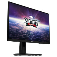 MSI Monitor G244F E2 (G244F E2)