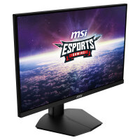 MSI Monitor G244F E2 (G244F E2)