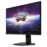 MSI Monitor G244F E2 (G244F E2)