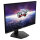 MSI Monitor G244F E2 (G244F E2)
