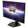 MSI Monitor G244F E2 (G244F E2)