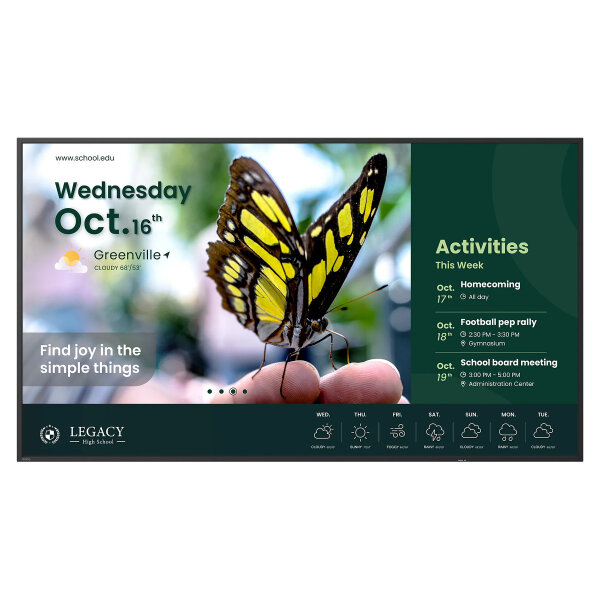 BenQ 165.1cm (65") ST6504 Android 14 UHD 2xHDMI 350nits (Speditionsversand)