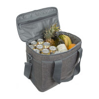 Riva Kühltasche Torngat 30L grau 5736