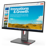 Lenovo ThinkVision P24QD-40 (23,8") QHD HDMI/DP/USB-C/DOC