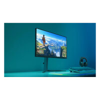 Philips Monitor 25M2N3200U 00 (25M2N3200U/00)