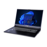 TERRA MOBILE 1778R i7-13700H W11P