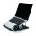 CONCEPTRONIC Laptop-Kühlpad 50Kg ERGO 15.6" gr