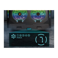 CONCEPTRONIC 2-Fan USB-A2.0 Laptop-Kühlpad 40Kg RGB 17" sw