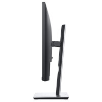 TFT P2419H LED IPS 61cm sw 24/1920x1080/DP/VGA/HDMI/USB/PIVOT