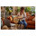 HP 965 4K Streaming (EU)