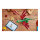 LEGO Creator Grüner Drache 31161