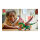 LEGO Creator Grüner Drache 31161
